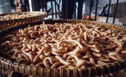 Resep Ogel Ogel Pemalang Paling Enak dan Lezat
